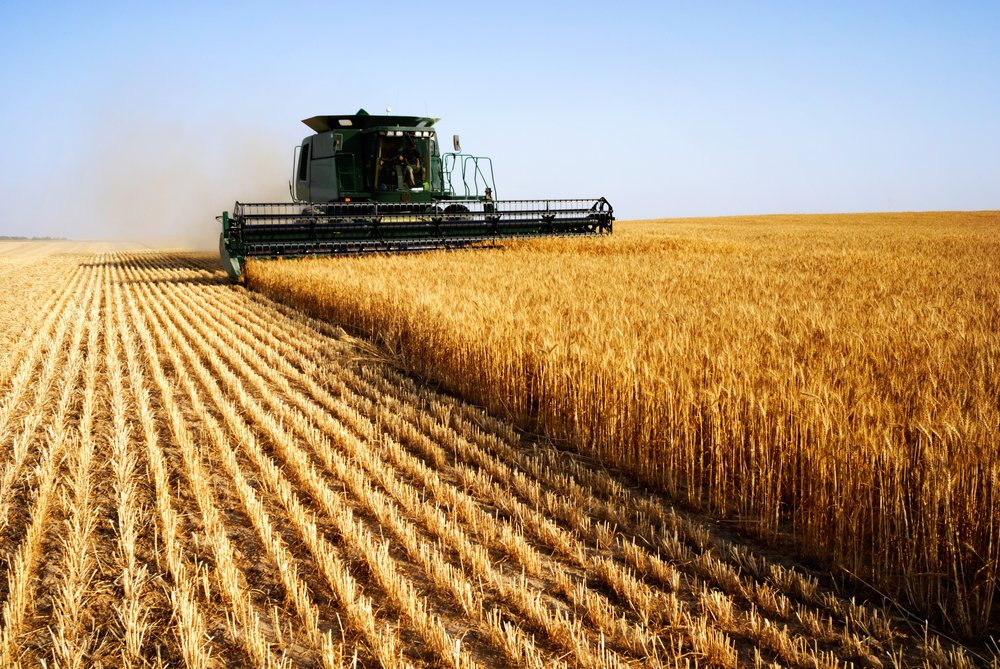 ФСБ раскрыла крупнейшее мошенничество при страховании урожая
